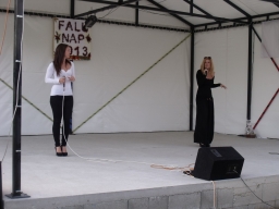 falunap2013_184_20180901